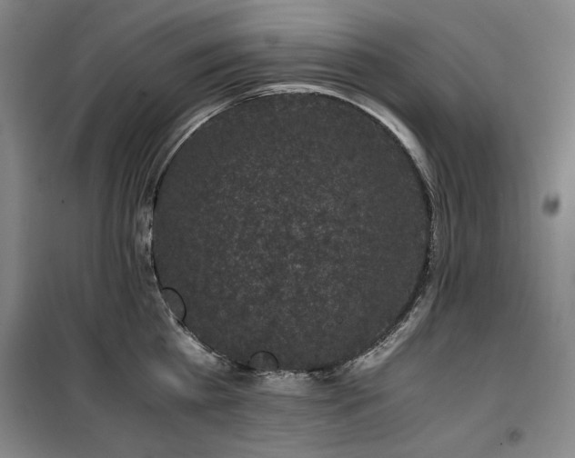 X0000100380809200806061217