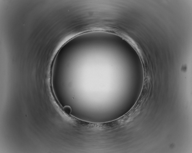 X0000100380811200806061217