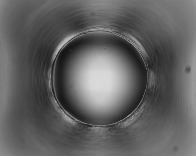 X0000100380812200806061217