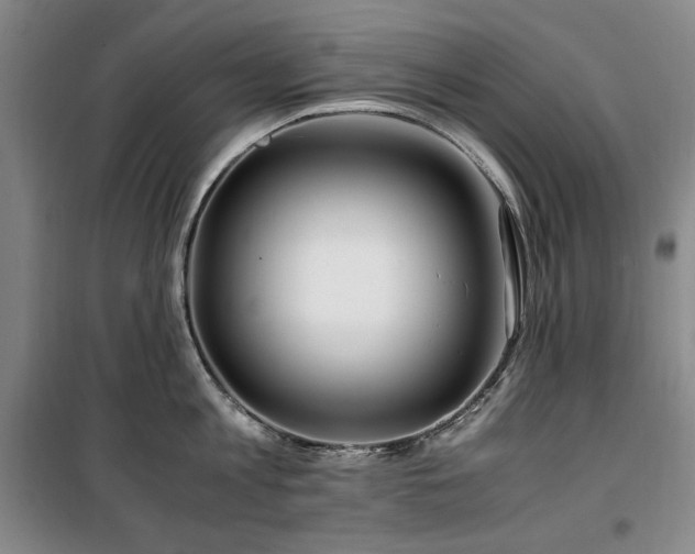 X0000100380813200806061217