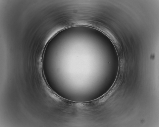 X0000100380814200806061217