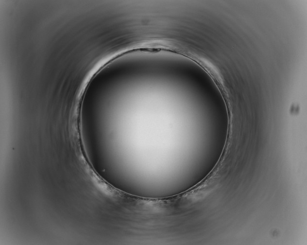 X0000100380816200806061217