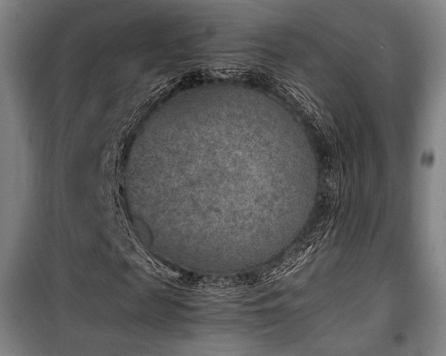 X0000100380817200806061216