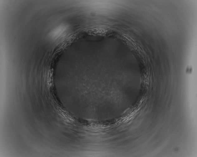 X0000100380818200806061216