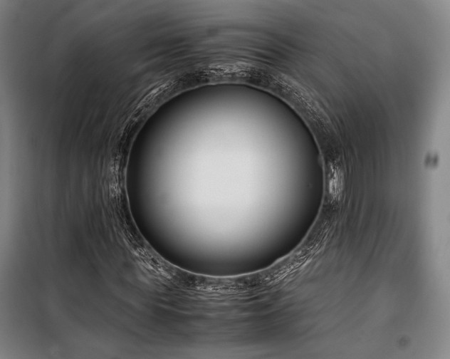 X0000100380819200806061216