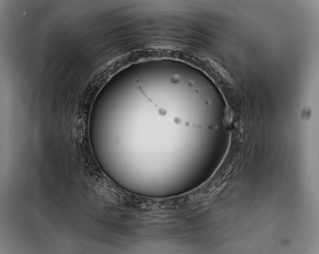 X0000100380821200806061216