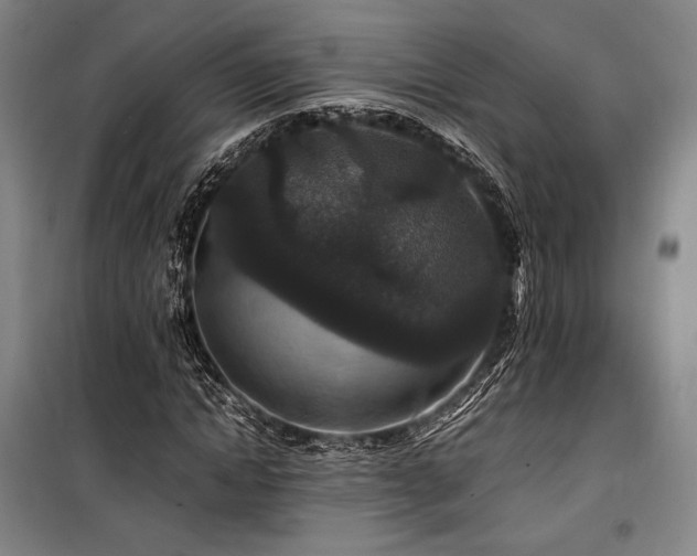 X0000100380822200806061216