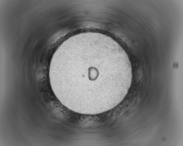 X0000100380824200806061216