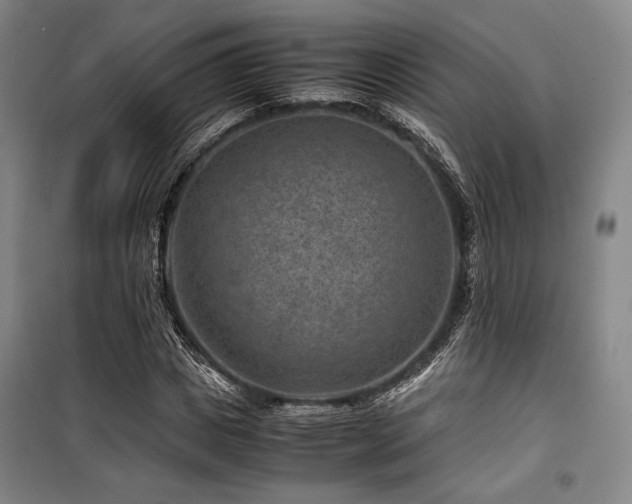 X0000100380825200806061216