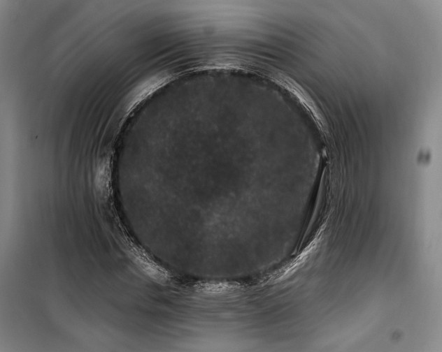 X0000100380826200806061216