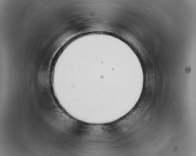 X0000100380828200806061216
