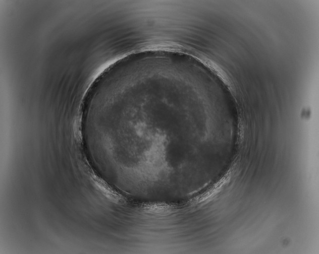 X0000100380830200806061216