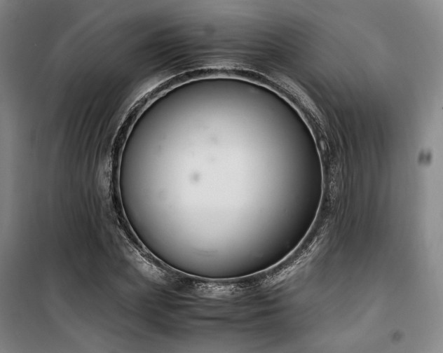 X0000100380831200806061216