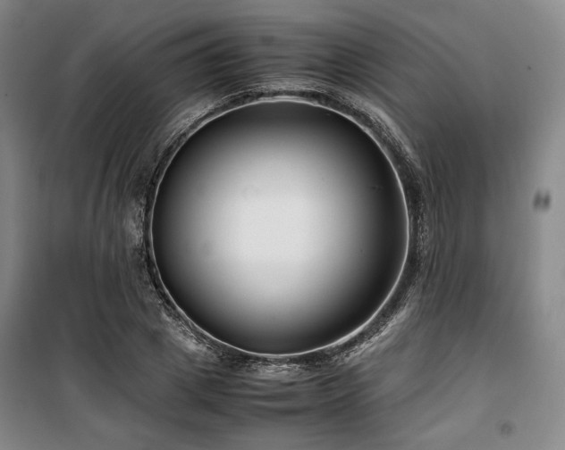 X0000100380833200806061217