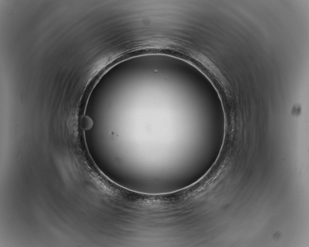 X0000100380834200806061217