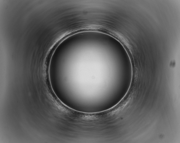 X0000100380835200806061217
