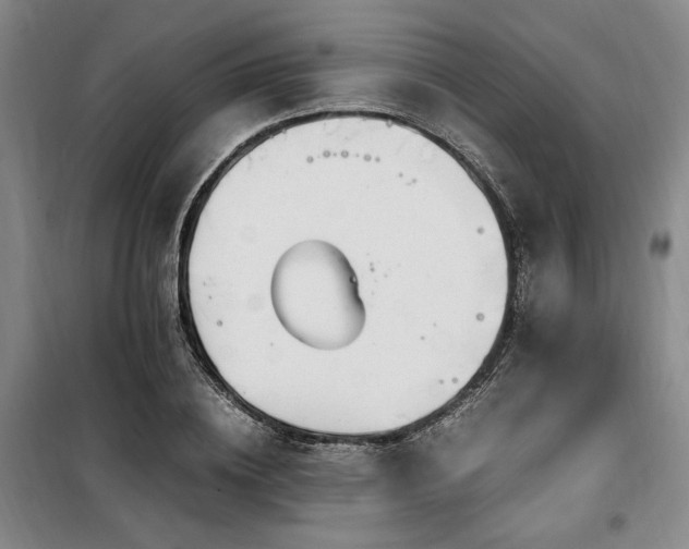 X0000100380836200806061217