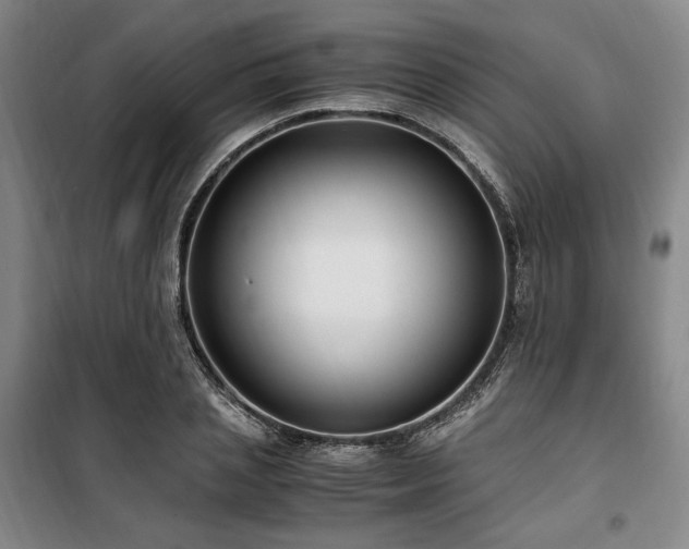 X0000100380837200806061217