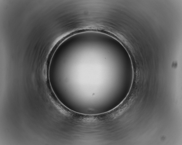 X0000100380838200806061217