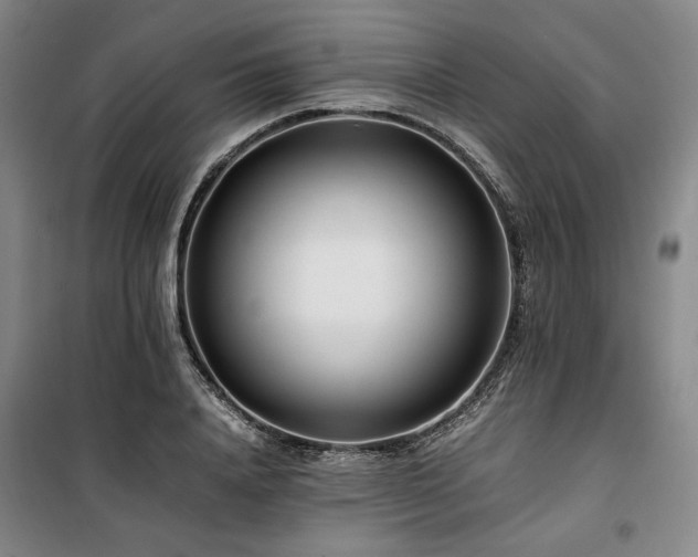 X0000100380840200806061217