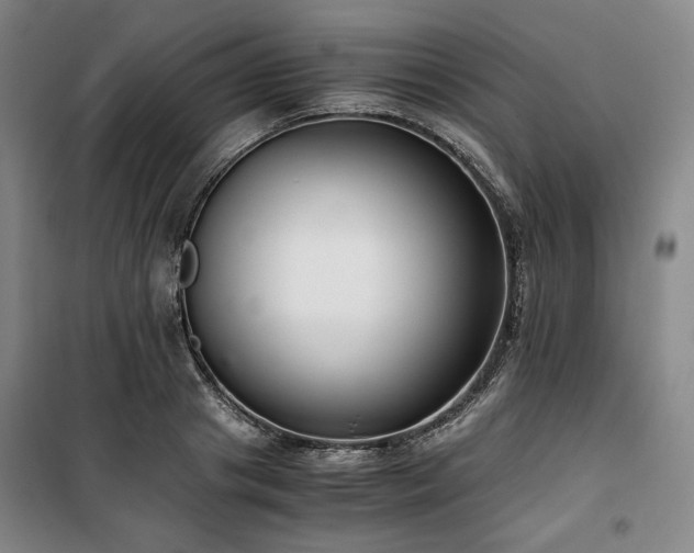 X0000100380841200806061217