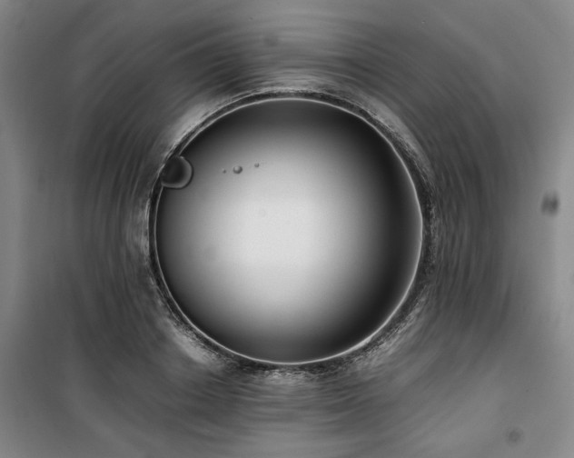 X0000100380842200806061217