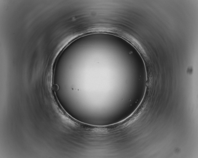 X0000100380844200806061217