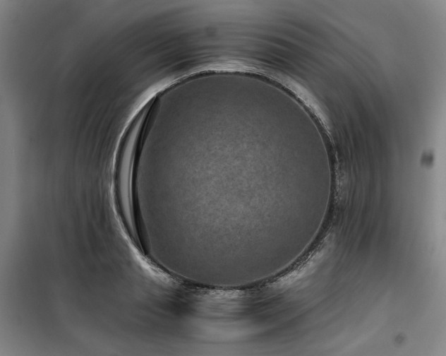 X0000100380845200806061217