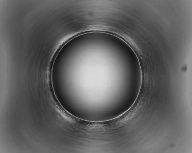 X0000100380846200806061217