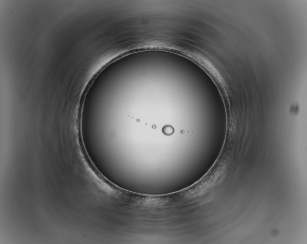 X0000100380847200806061217