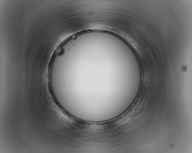 X0000100380848200806061217