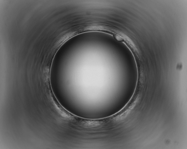 X0000100380849200806061217