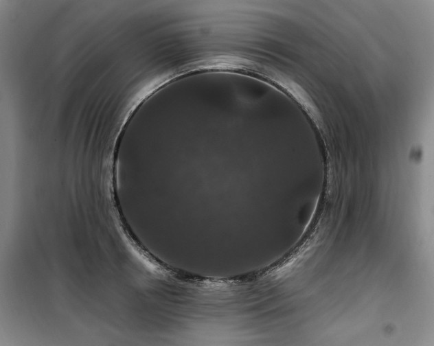 X0000100380850200806061217