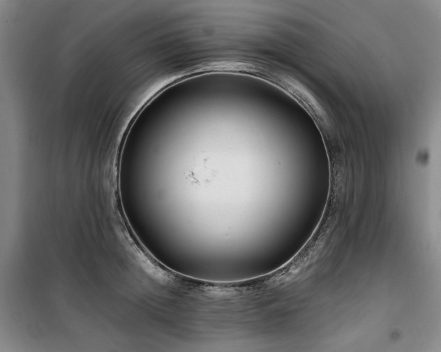 X0000100380852200806061217