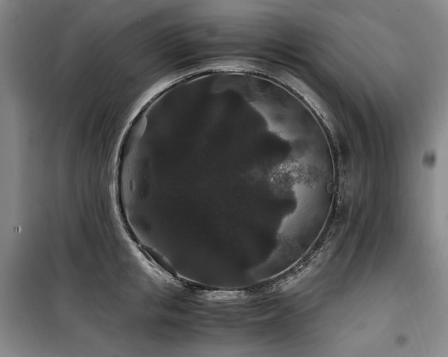 X0000100380853200806061217