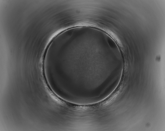 X0000100380854200806061217