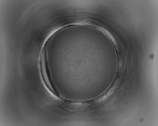 X0000100380855200806061217