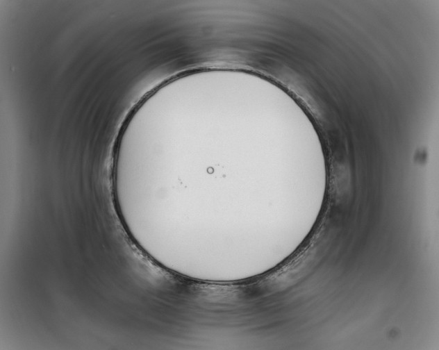 X0000100380856200806061217