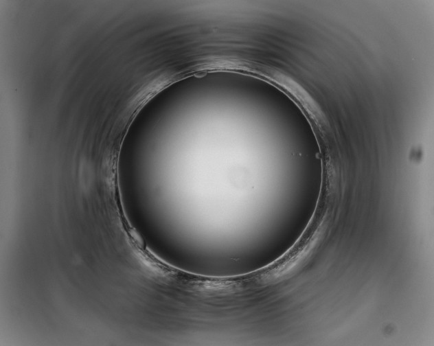 X0000100380857200806061217