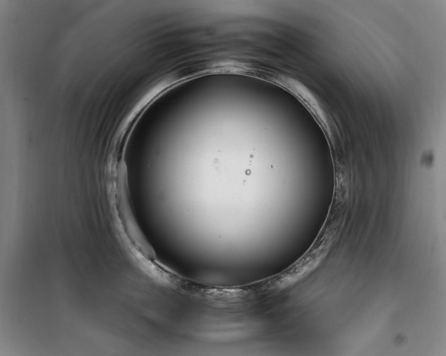 X0000100380859200806061217