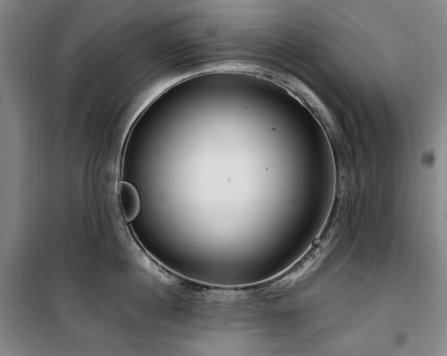 X0000100380860200806061217