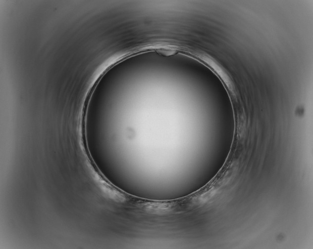X0000100380861200806061217