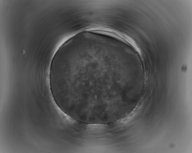 X0000100380863200806061217