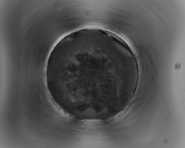 X0000100380864200806061217