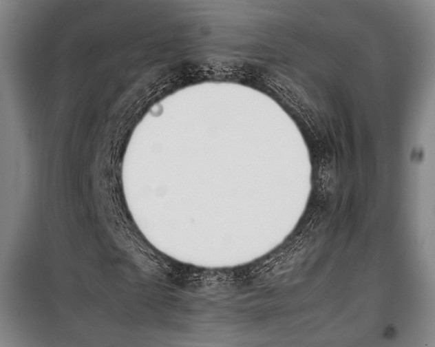 X0000100380865200806061216