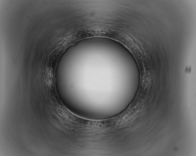 X0000100380866200806061216