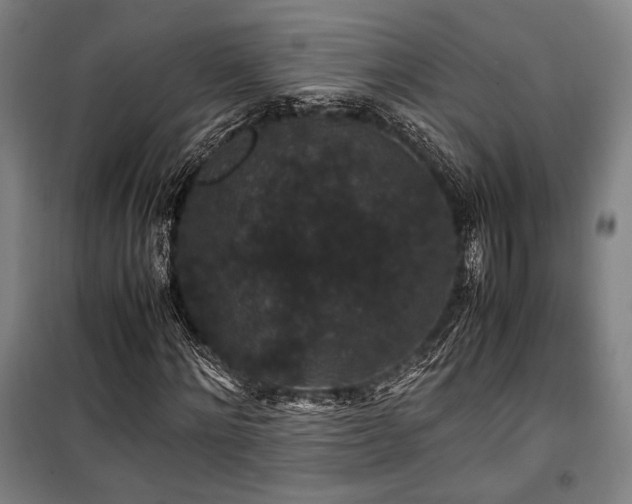 X0000100380868200806061216