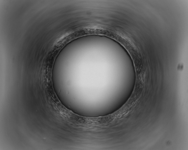 X0000100380870200806061216