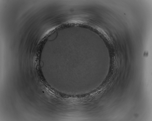 X0000100380872200806061216