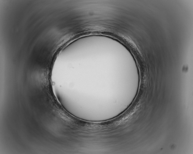 X0000100380873200806061216